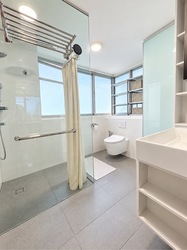The Jade (D23), Condominium #625755551